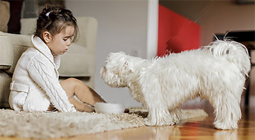 Little girl with a dog — Stock Photo © Goran Bogicevic #28490121